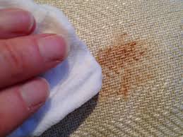 Upholstery Stain Removal